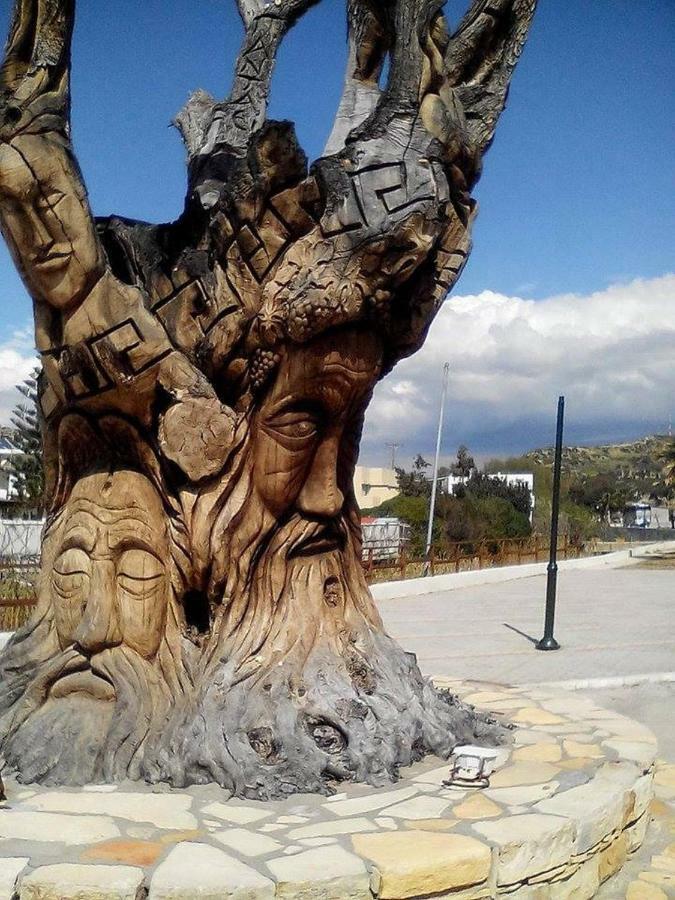Kazakis Nikos Rooms Πιτσίδια Εξωτερικό φωτογραφία