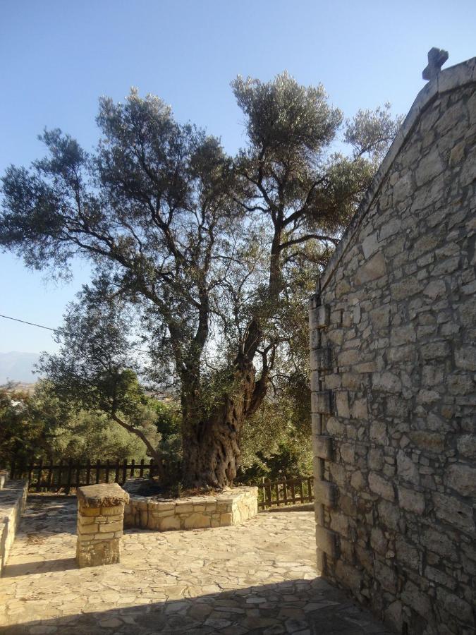 Kazakis Nikos Rooms Πιτσίδια Εξωτερικό φωτογραφία